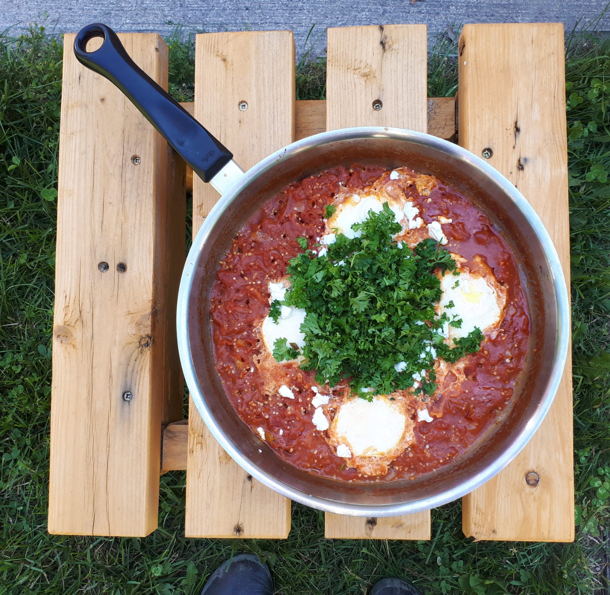 Shakshuka in a frying pan